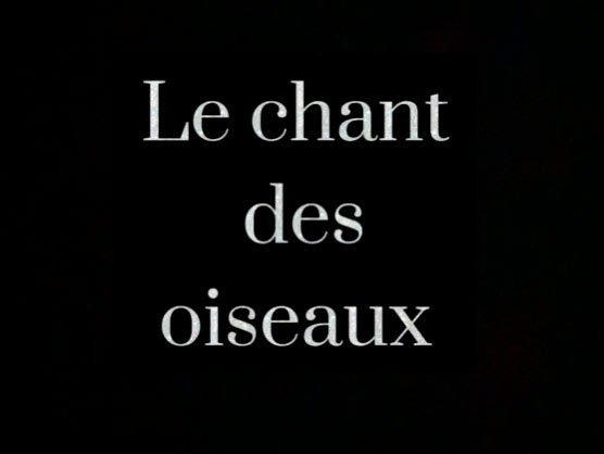 Le chant des oiseaux