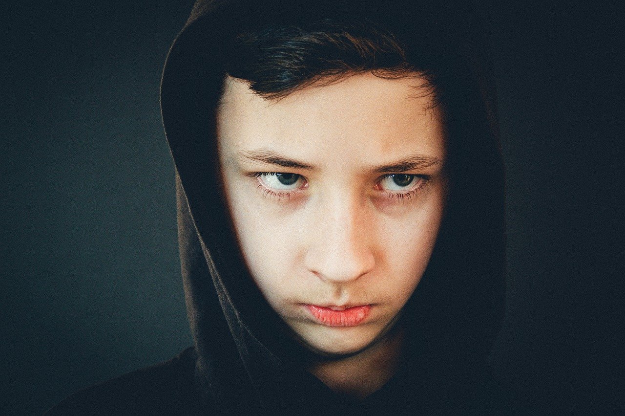 formation enfant hors norme Pixabay VictoriaRegen boy-g8497eeea9_1280 formation enfant hors norme Pixabay VictoriaRegen boy-g8497eeea9_1280