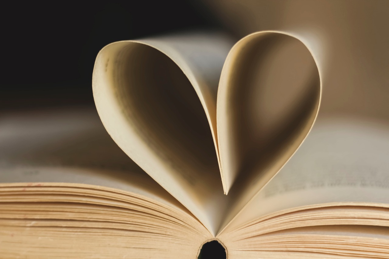 formation lecture Pixabay un-perfekt book-gdd62b4183_1280 formation lecture Pixabay un-perfekt book-gdd62b4183_1280