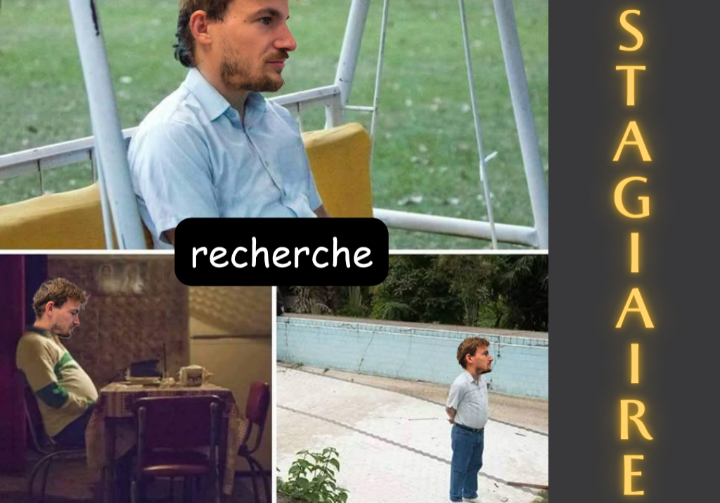 Tu cherches un stage qui a du sens ? Aide Tanguy à trouver son·sa futur·e stagiaire !