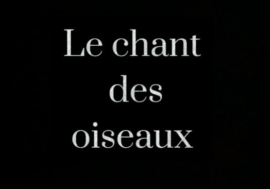 Le chant des oiseaux